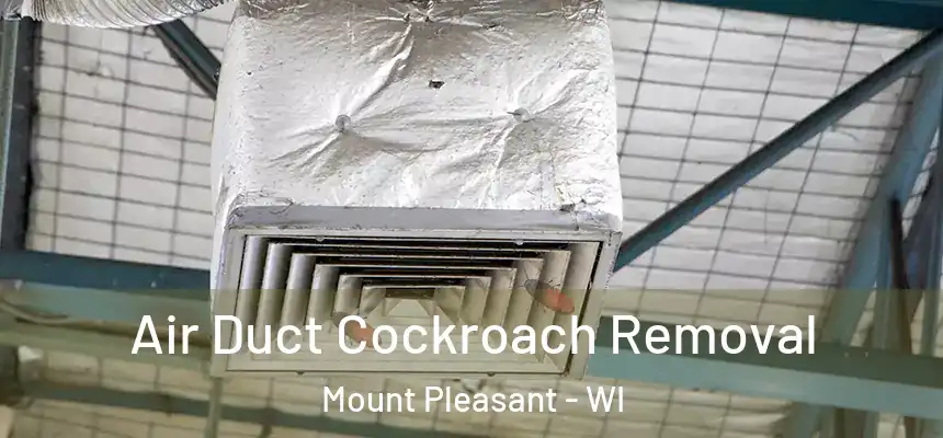 Air Duct Cockroach Removal Mount Pleasant - WI