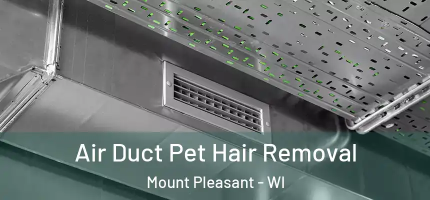  Air Duct Pet Hair Removal Mount Pleasant - WI