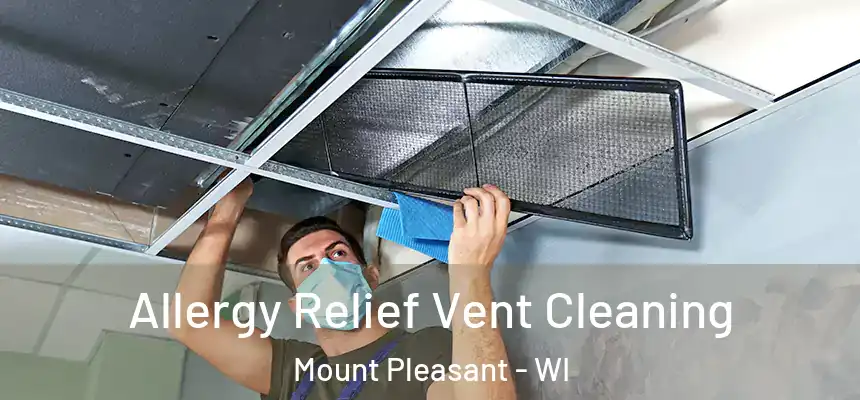 Allergy Relief Vent Cleaning Mount Pleasant - WI