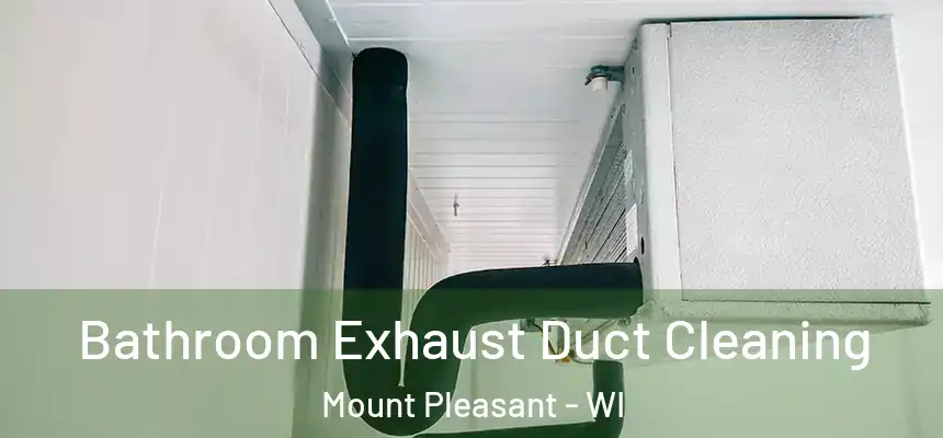  Bathroom Exhaust Duct Cleaning Mount Pleasant - WI
