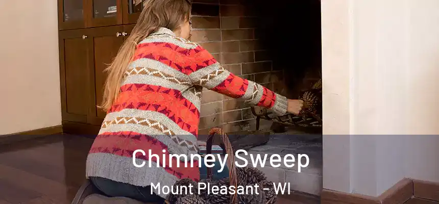 Chimney Sweep Mount Pleasant - WI
