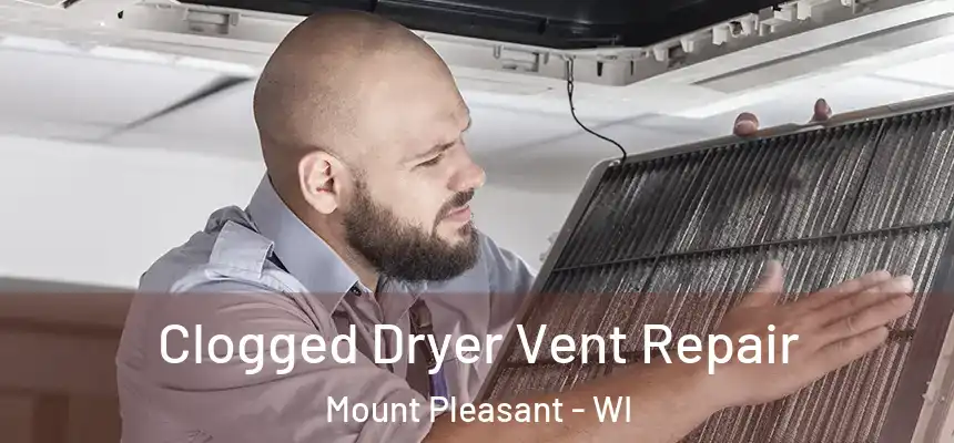 Clogged Dryer Vent Repair Mount Pleasant - WI