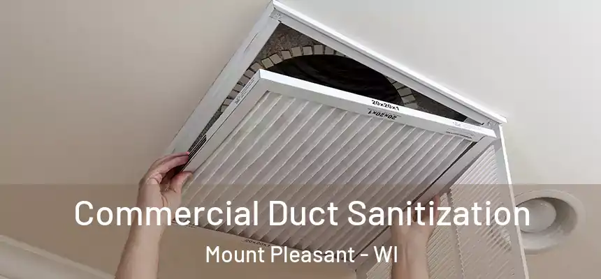 Commercial Duct Sanitization Mount Pleasant - WI