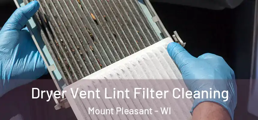  Dryer Vent Lint Filter Cleaning Mount Pleasant - WI