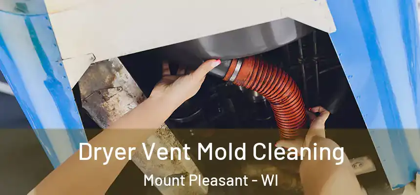 Dryer Vent Mold Cleaning Mount Pleasant - WI