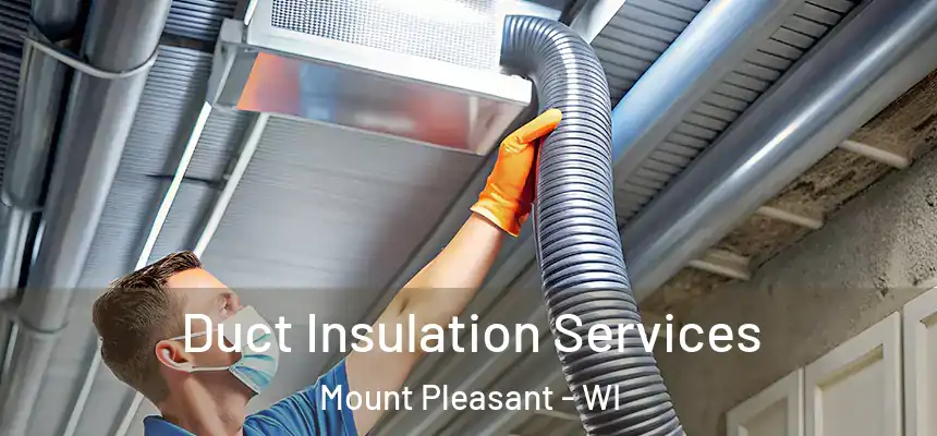 Duct Insulation Services Mount Pleasant - WI