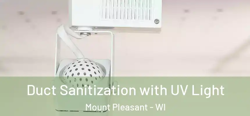  Duct Sanitization with UV Light Mount Pleasant - WI