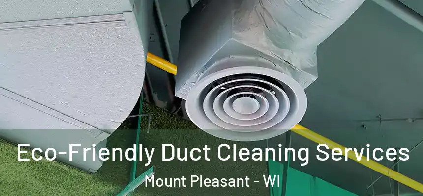 Eco-Friendly Duct Cleaning Services Mount Pleasant - WI