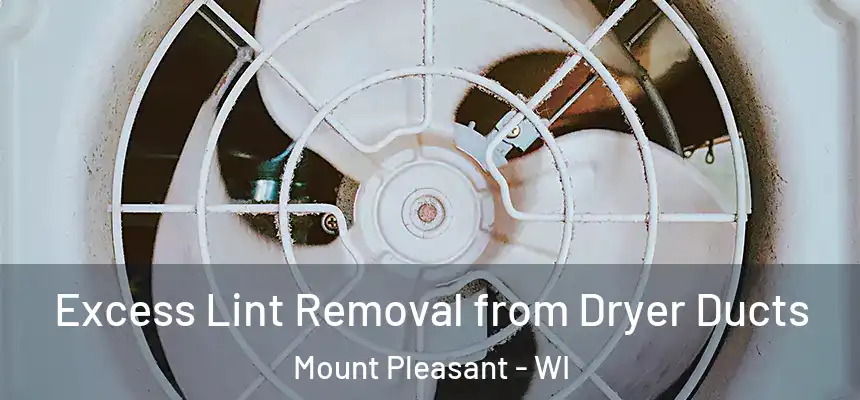 Excess Lint Removal from Dryer Ducts Mount Pleasant - WI