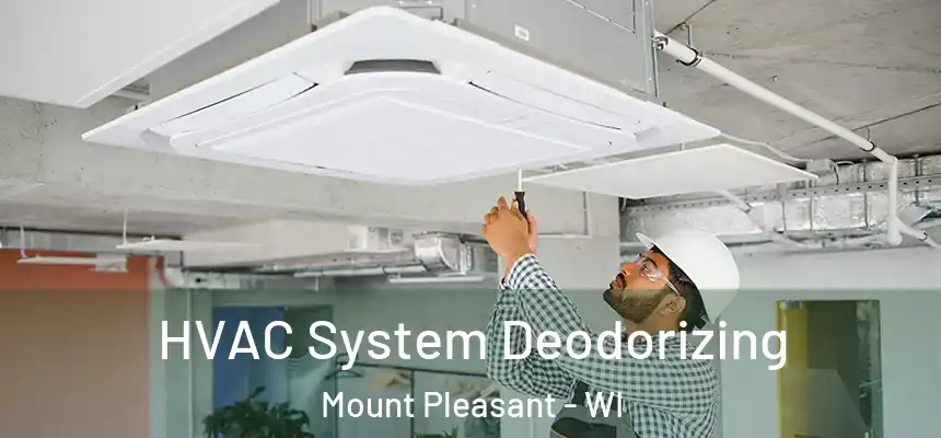 HVAC System Deodorizing Mount Pleasant - WI