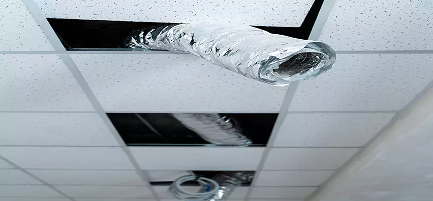 Our Air Duct Pet Hair Removal Services in Mount Pleasant, WI