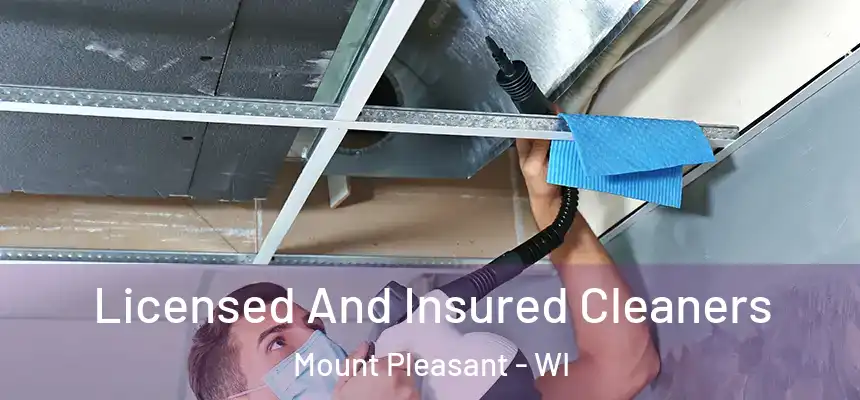  Licensed And Insured Cleaners Mount Pleasant - WI