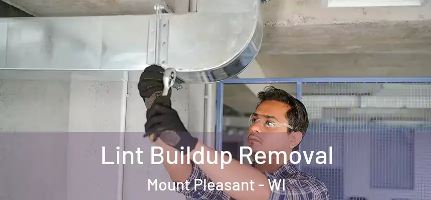Lint Buildup Removal Mount Pleasant - WI