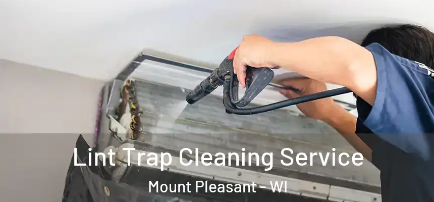Lint Trap Cleaning Service Mount Pleasant - WI