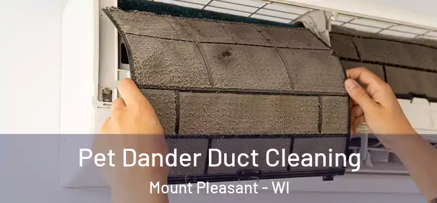 Pet Dander Duct Cleaning Mount Pleasant - WI