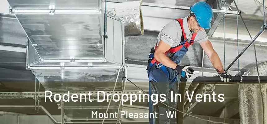  Rodent Droppings In Vents Mount Pleasant - WI