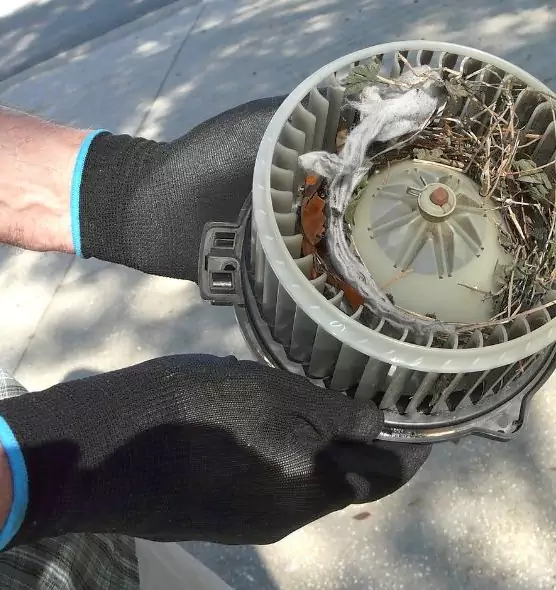 About Air Duct Rat Removal in Mount Pleasant, WI