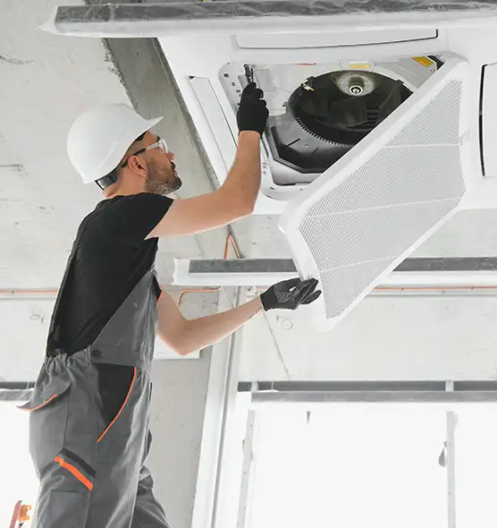 About Air Duct Rodent Removal in Mount Pleasant, WI