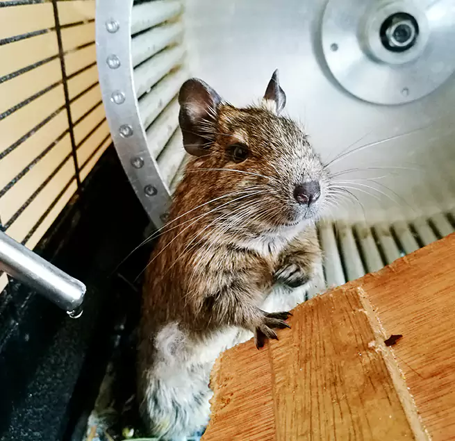 Why Homeowners & Businesses Trust Us Mount Pleasant, WI