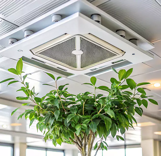 Why Homeowners & Businesses Trust Us in Mount Pleasant, WI?